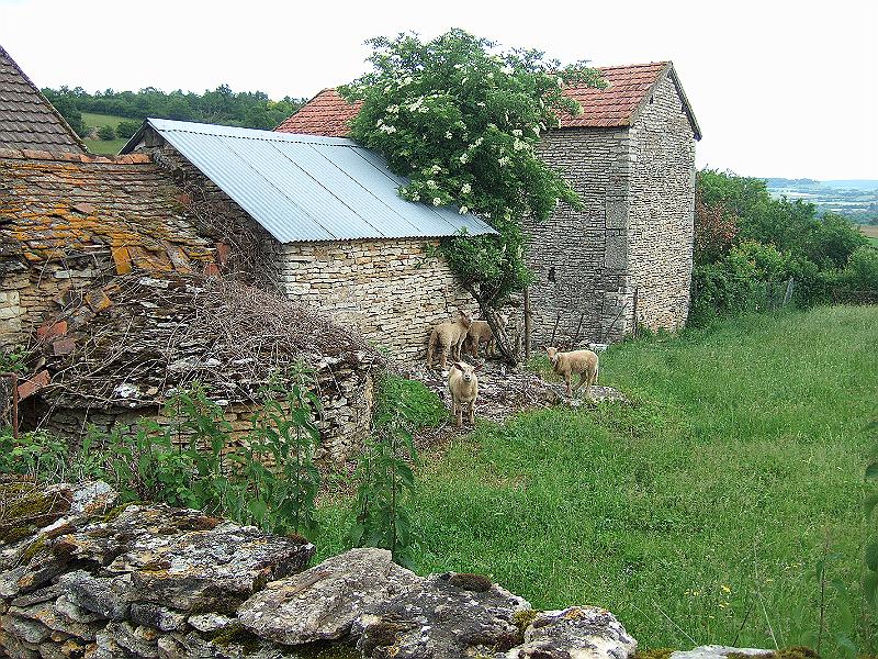 2010-05- (17).JPG